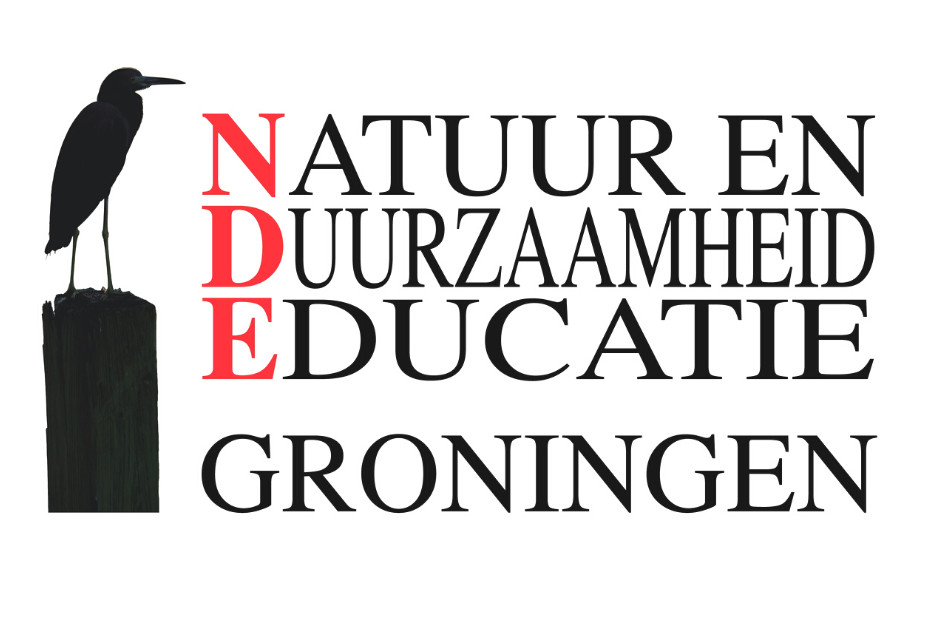 Logo NDE